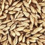 product-view